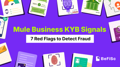 mule business KYB signals and fraud detection illustration