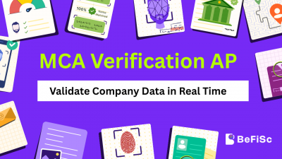 MCA verification API response showing company CIN, directors and registration data