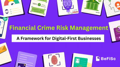 Financial crime risk management framework covering AML, fraud prevention, KYC verification, and regulatory compliance for digital fintech businesses