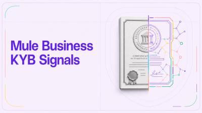 Mule business detection and KYB risk signals